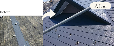 フッ素塗料画像